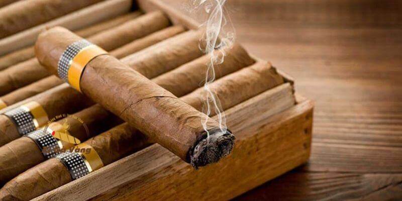 Hút xì gà đúng kỹ thuật giúp người chơi kiểm soát khói, nhiệt và thời gian thưởng thức hợp lý.